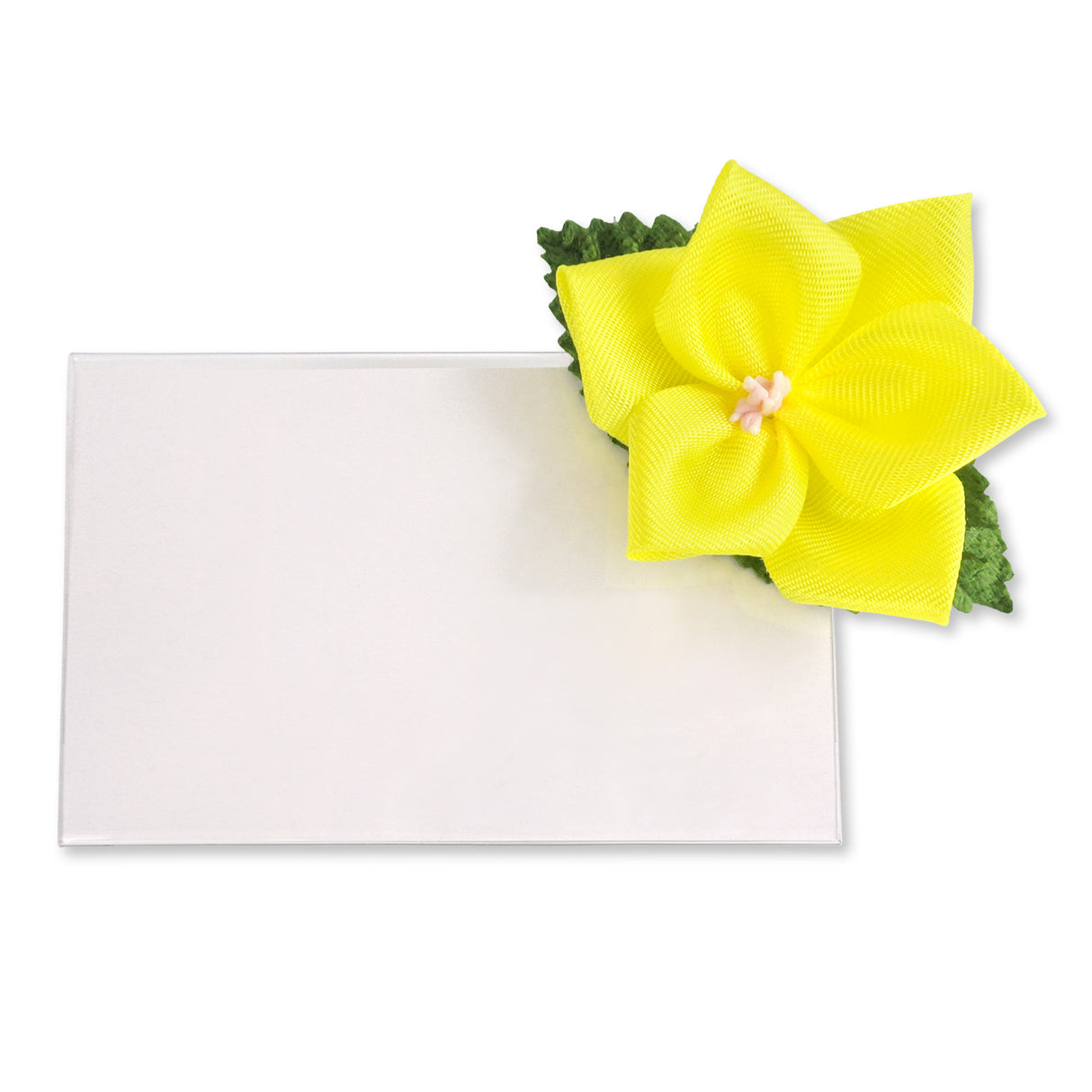 ミニバラプレート 名刺サイズ 名札 ネームホルダー 安全ピン・クリップ両用 イベント パーティー 式典 セレモニー 展覧会