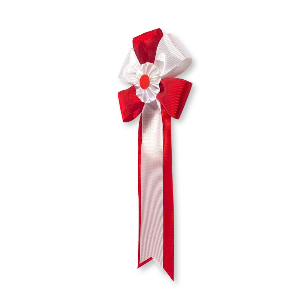 リボン徽章(記章・胸章)中旭光 横