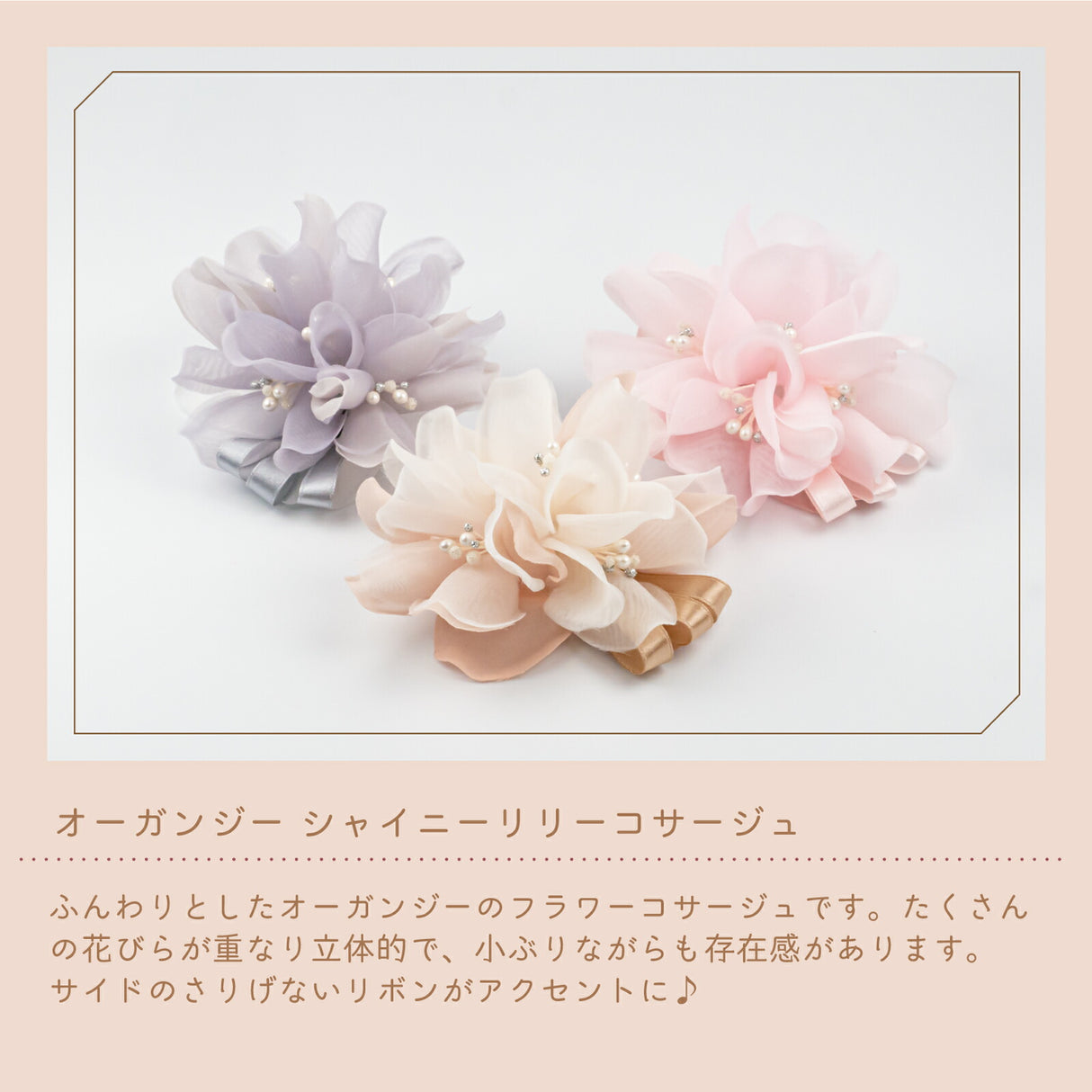 花びらが重なり立体的 小ぶりながらも存在感