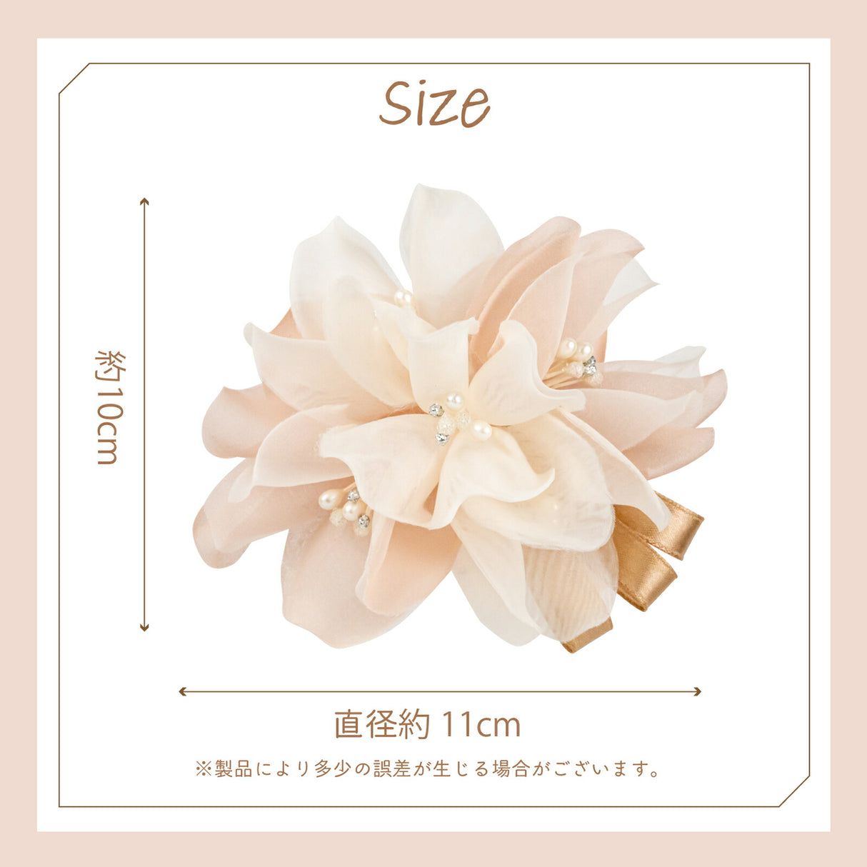 縦直径約10cm 横直径約11cm